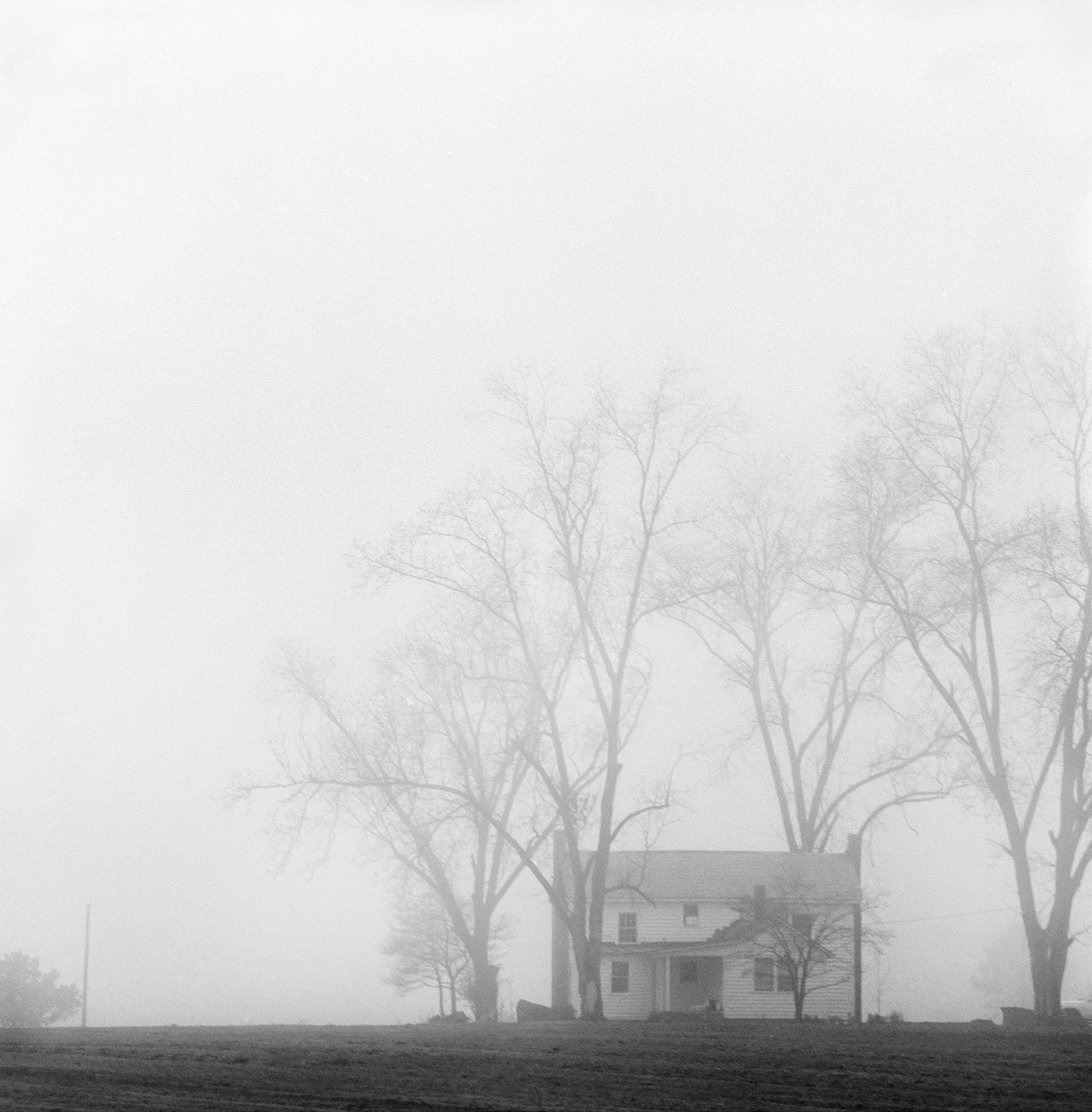 Fog-1-Print copy.jpg