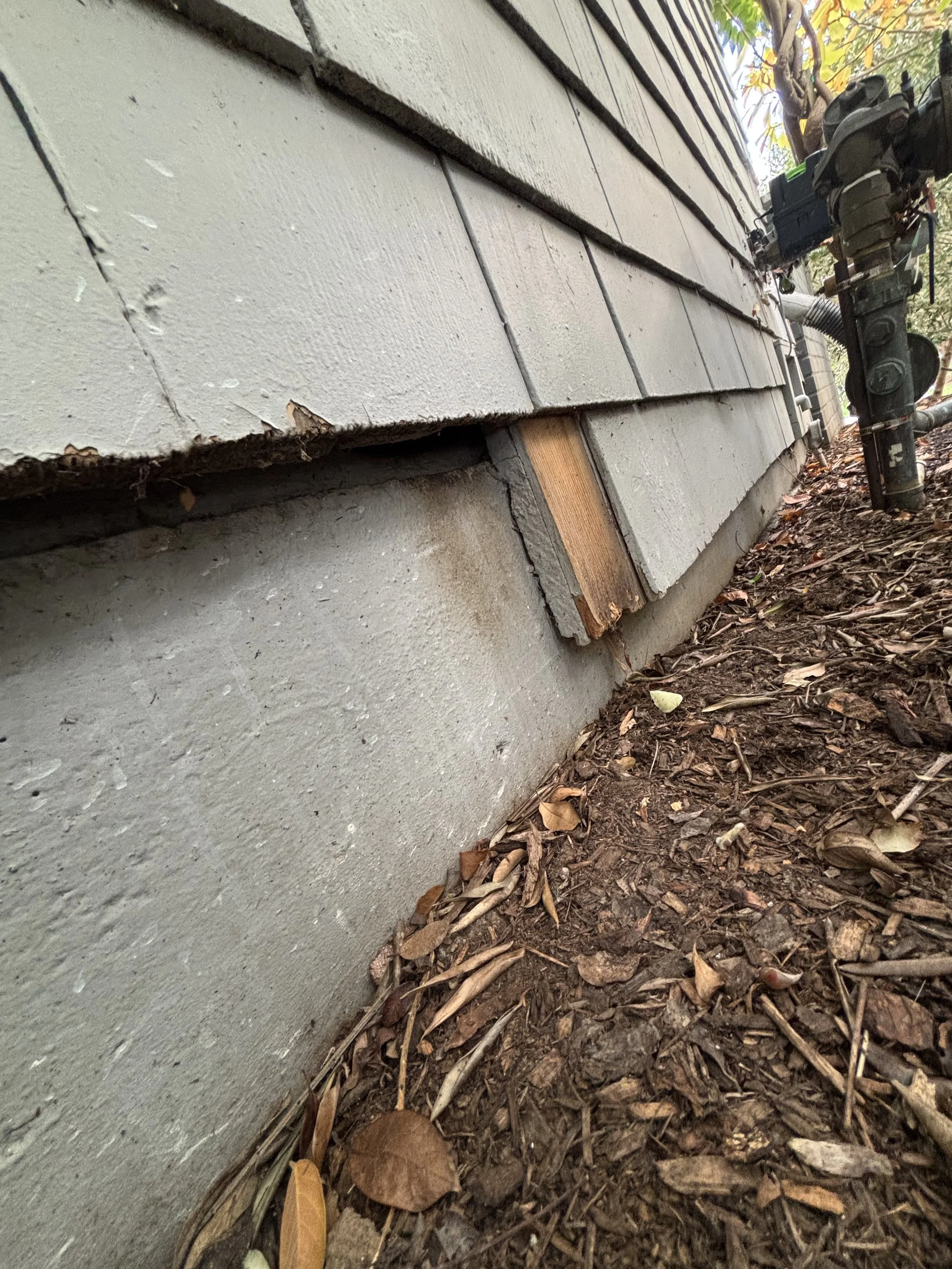 Close-up of a house foundation with wooden siding and a missing board, revealing the concrete foundation and dirt ground with fallen leaves and small sticks.