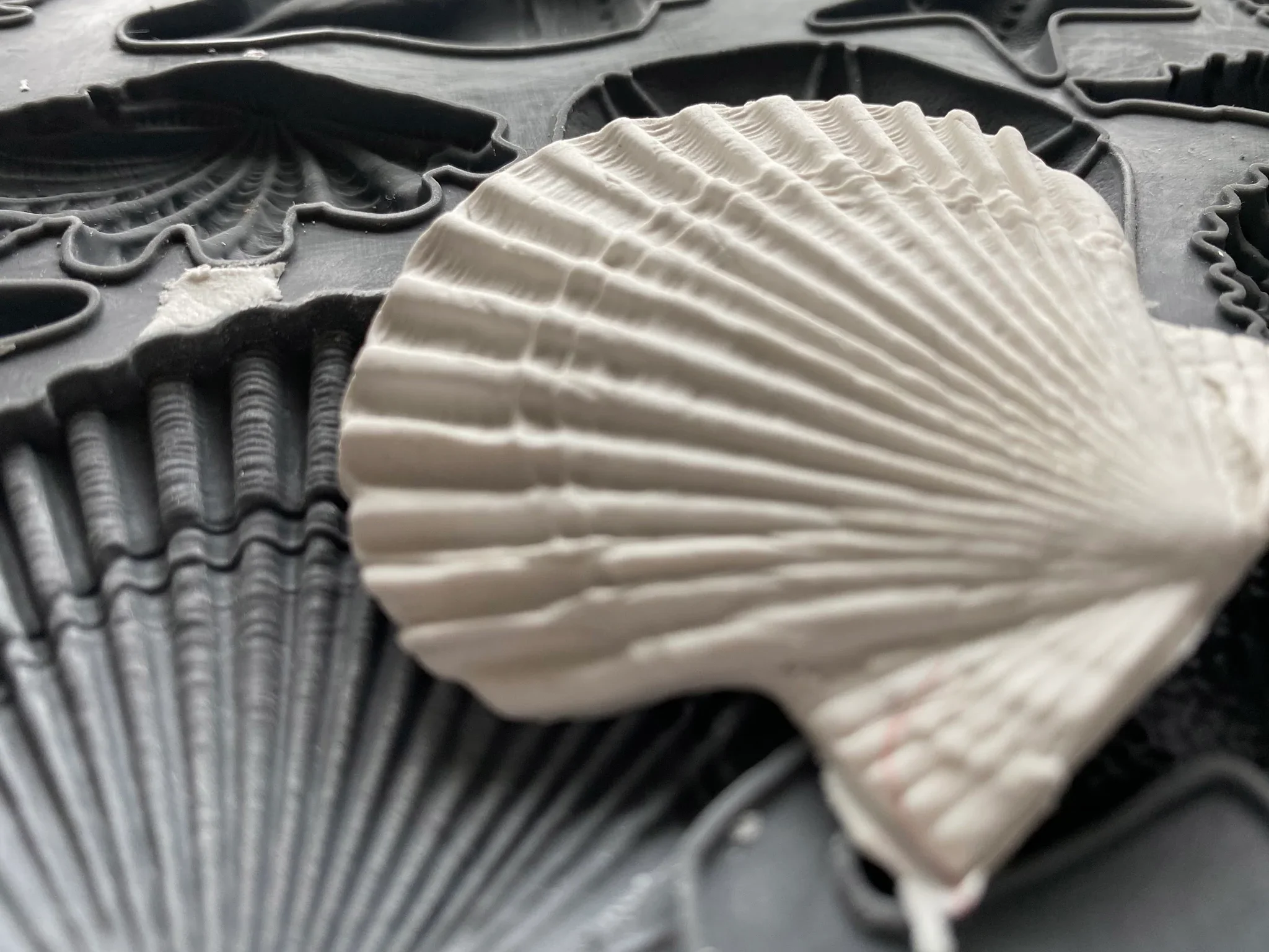 Iron Orchid Designs (IOD) Molds
