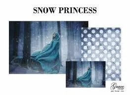 Snow Princesss.jpeg