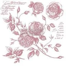 Romance Roses.jfif