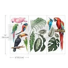 Tropical Birds.jpg