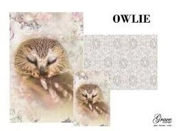 Owlie.jpeg