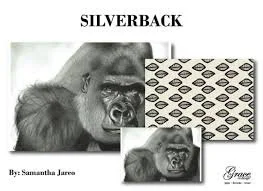 Silverback.jpeg