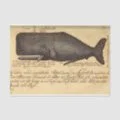 Vintage Whale.jfif