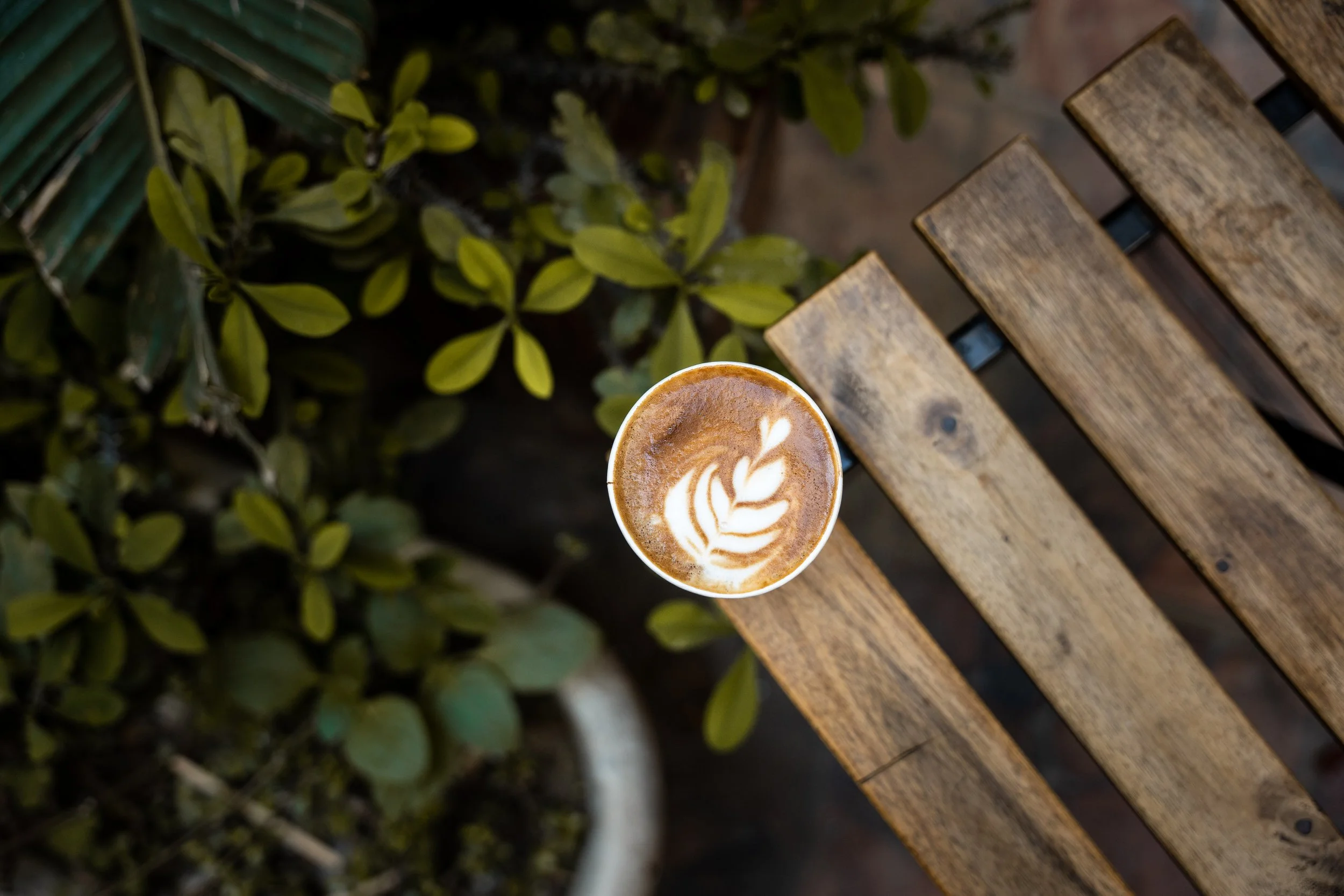 Top-down view of a cup of latte with latte art on a wooden outdoor table beside green plants.