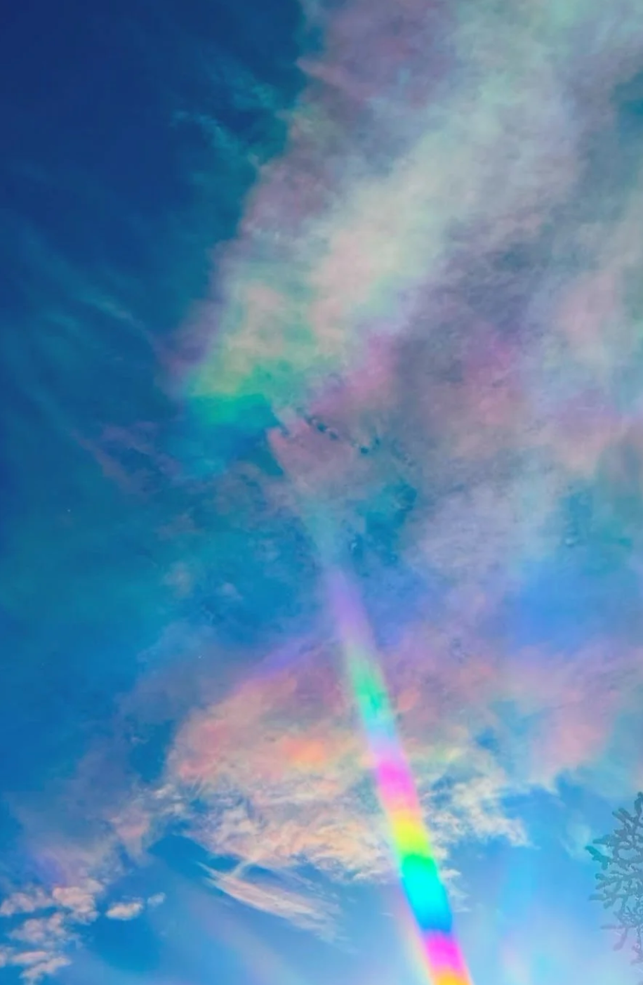 Screenshot 2025-11-05 at 10.09.08 PM.png