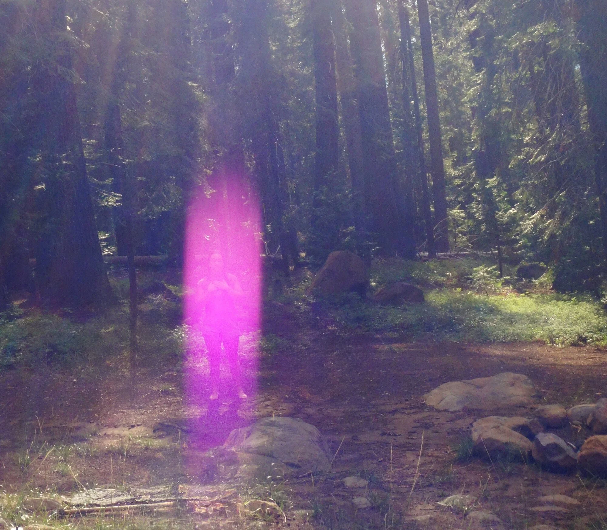 A Star Family guest standing in the Violet Flame on Mount Shasta, photographed by Paul of Venus