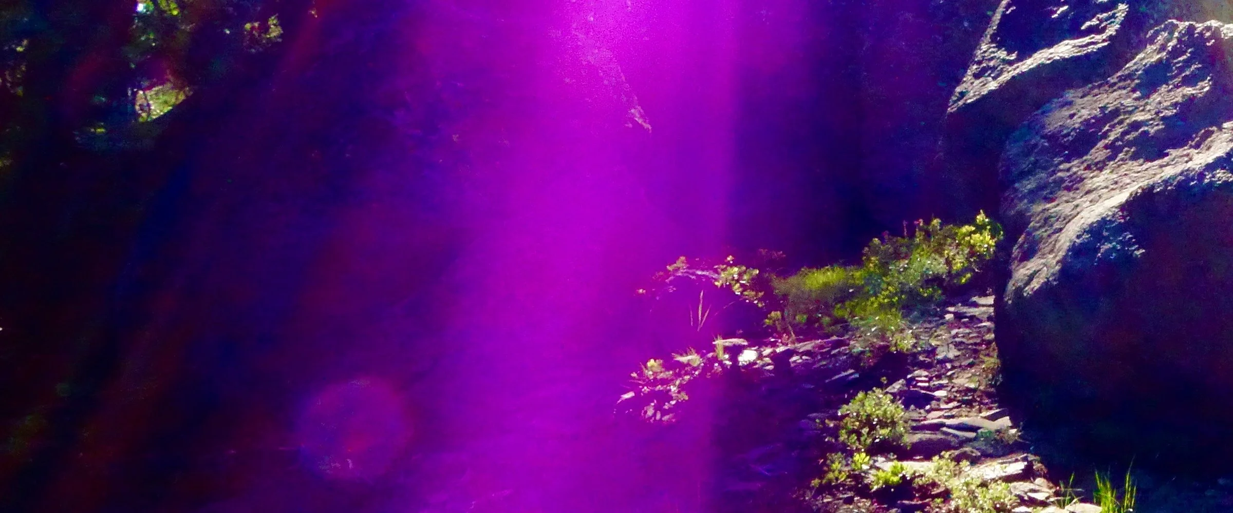 Violet Ray light in the forest on Mount Shasta
