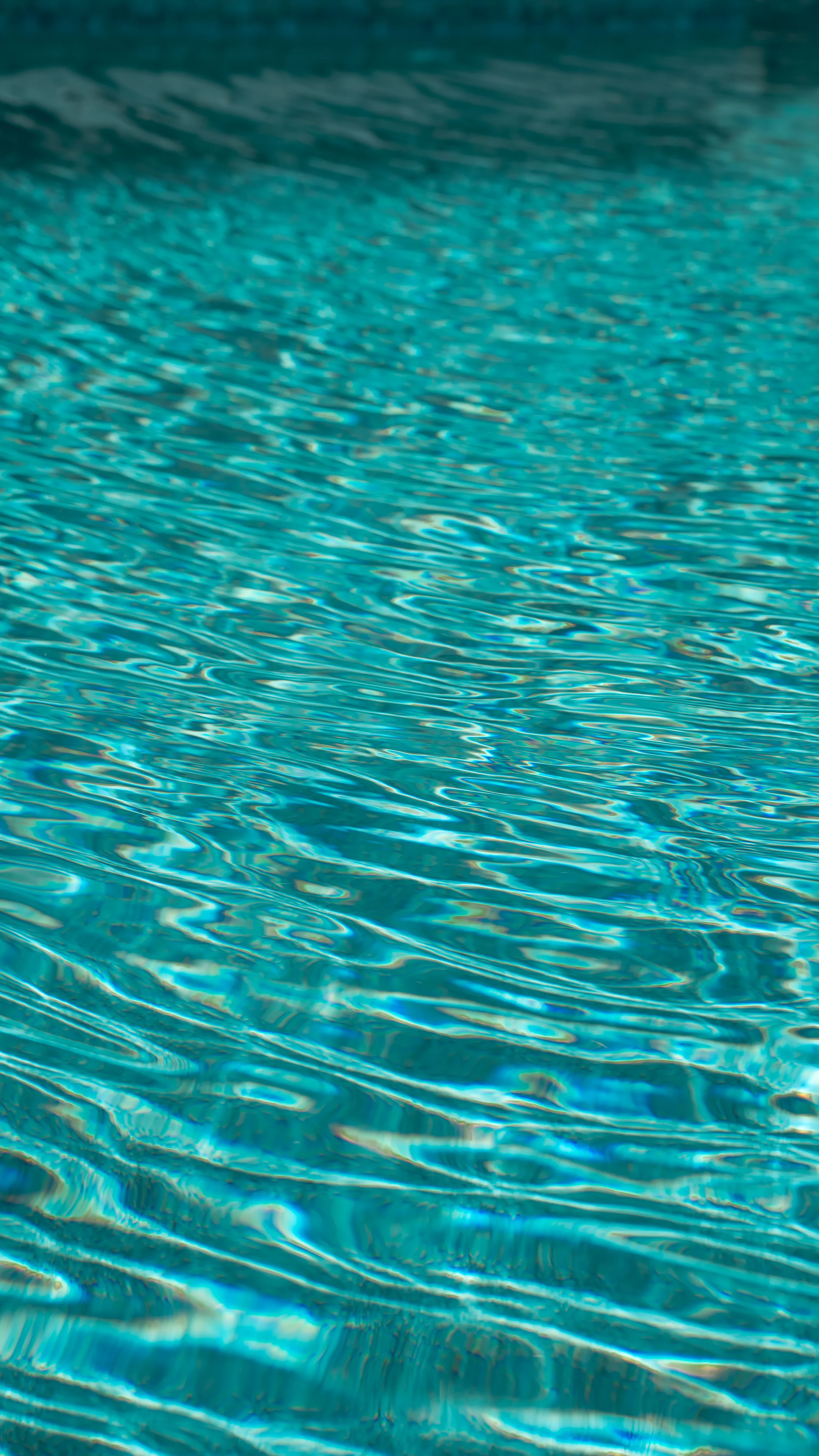 DSC02252.webp