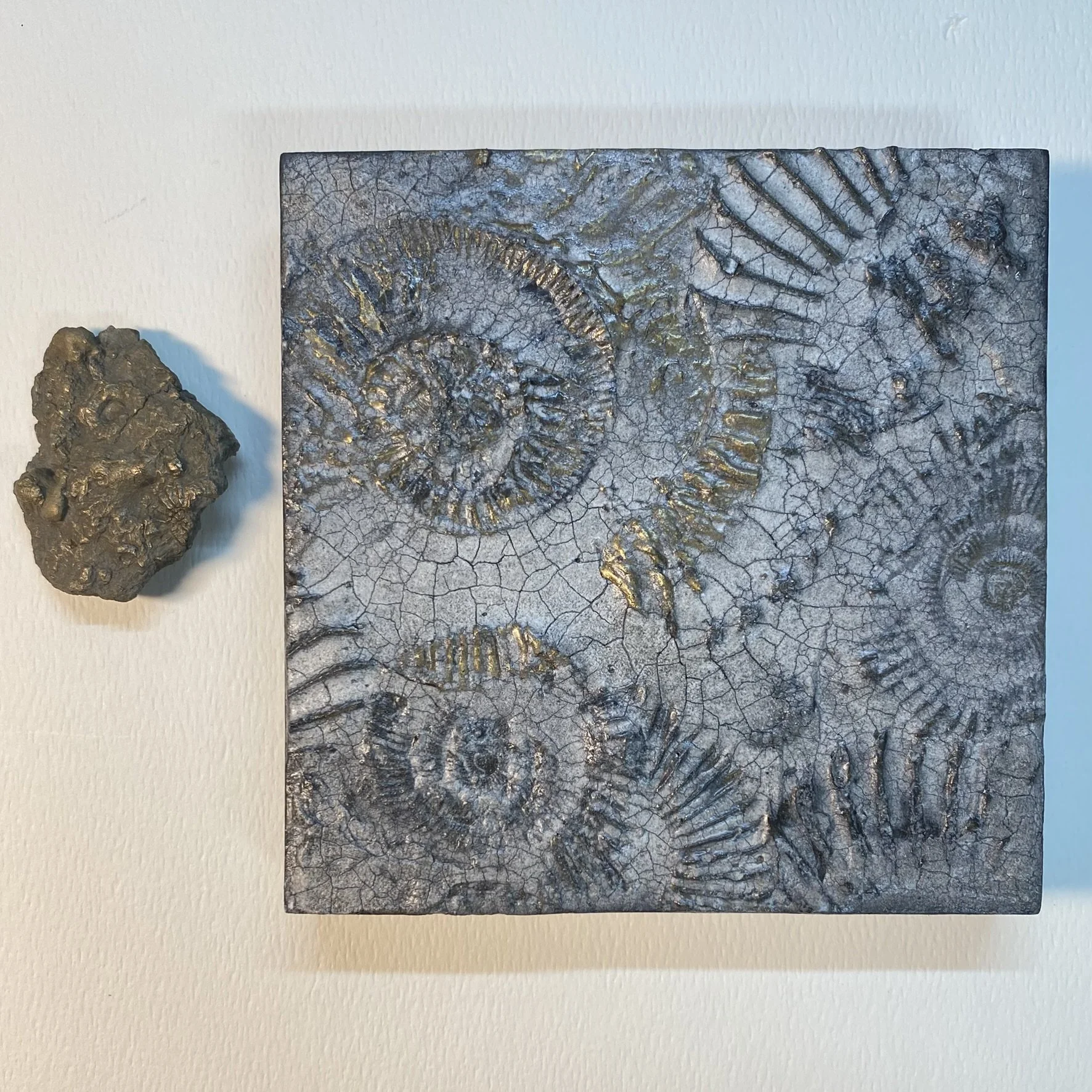 Ammonite Bed - Beach Find Inspiration meets Art