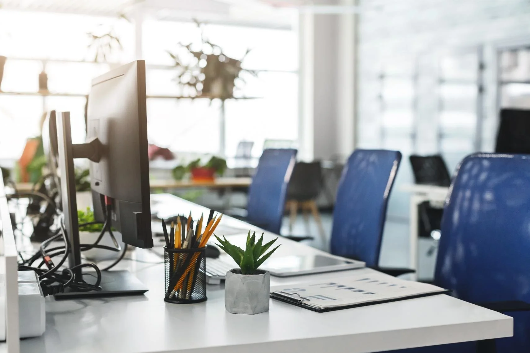 Office workspace with multiple blue chairs, desktop monitors, a potted succulent, a notebook, and a pencil holder on a white desk, with sunlight coming through large windows.