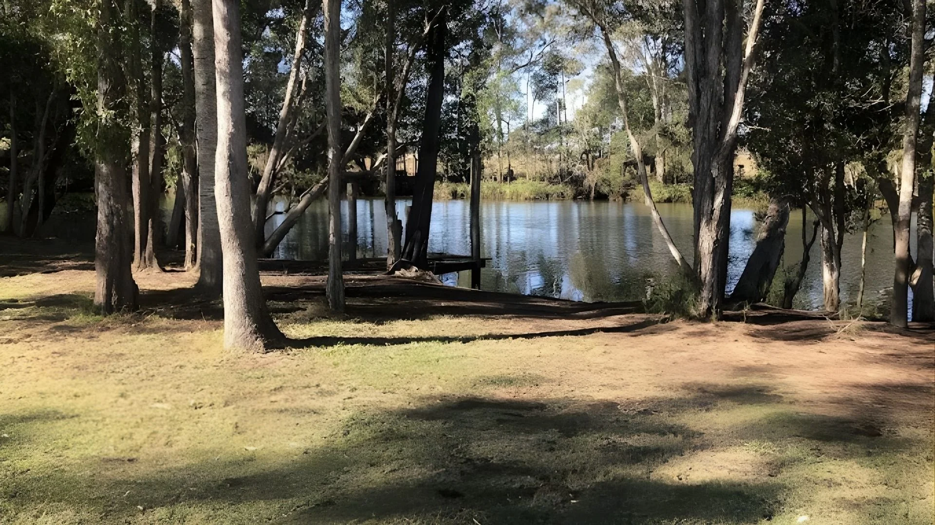 A lakeside scene with trees along the shore and a small dock by the water, sunlight casting shadows on the grassy area.