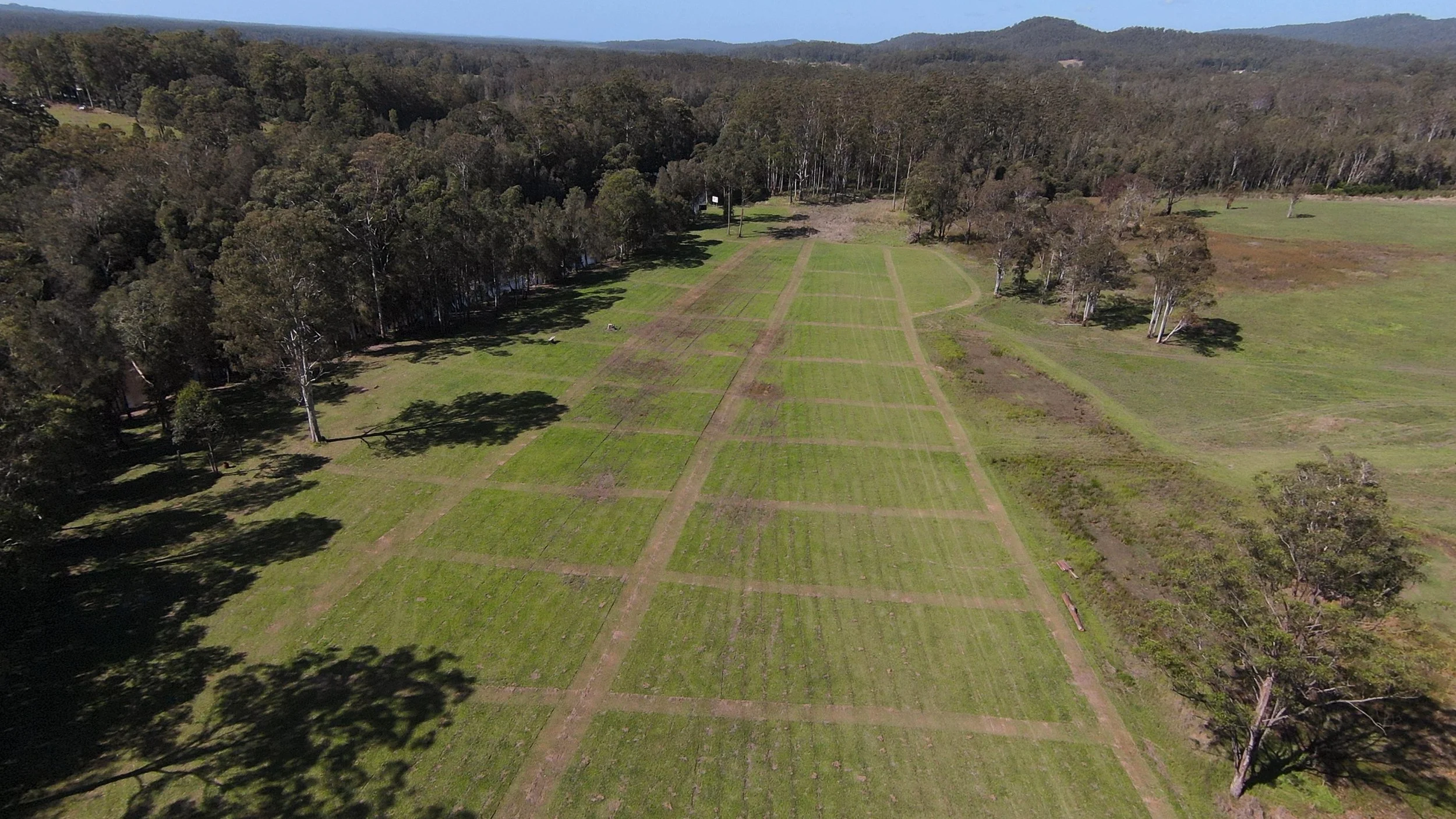 Aerial view of a large grassy field with marked campsites and scattered trees, surrounded by forested hills.