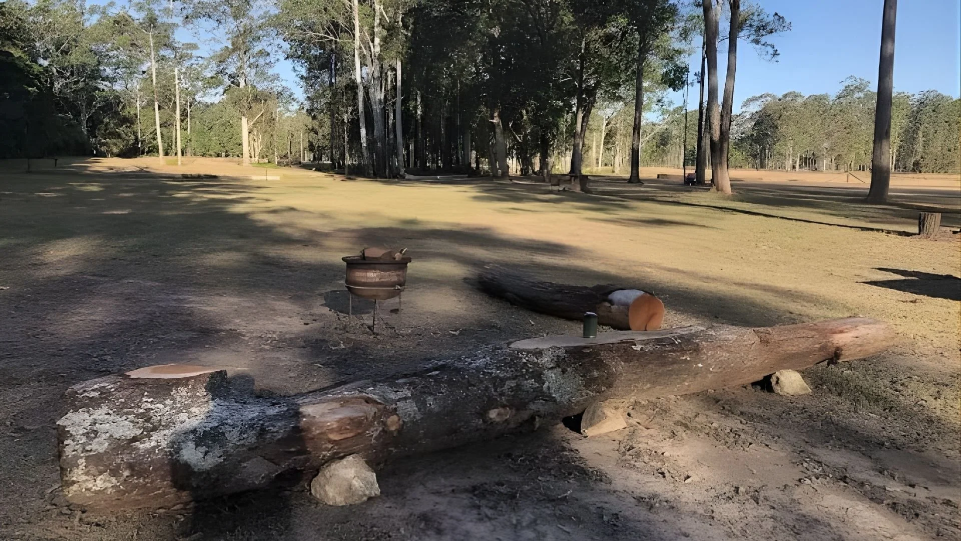 A rural outdoor scene with a fallen log supported by rocks, a small makeshift fire pit, and a large open field surrounded by tall trees.