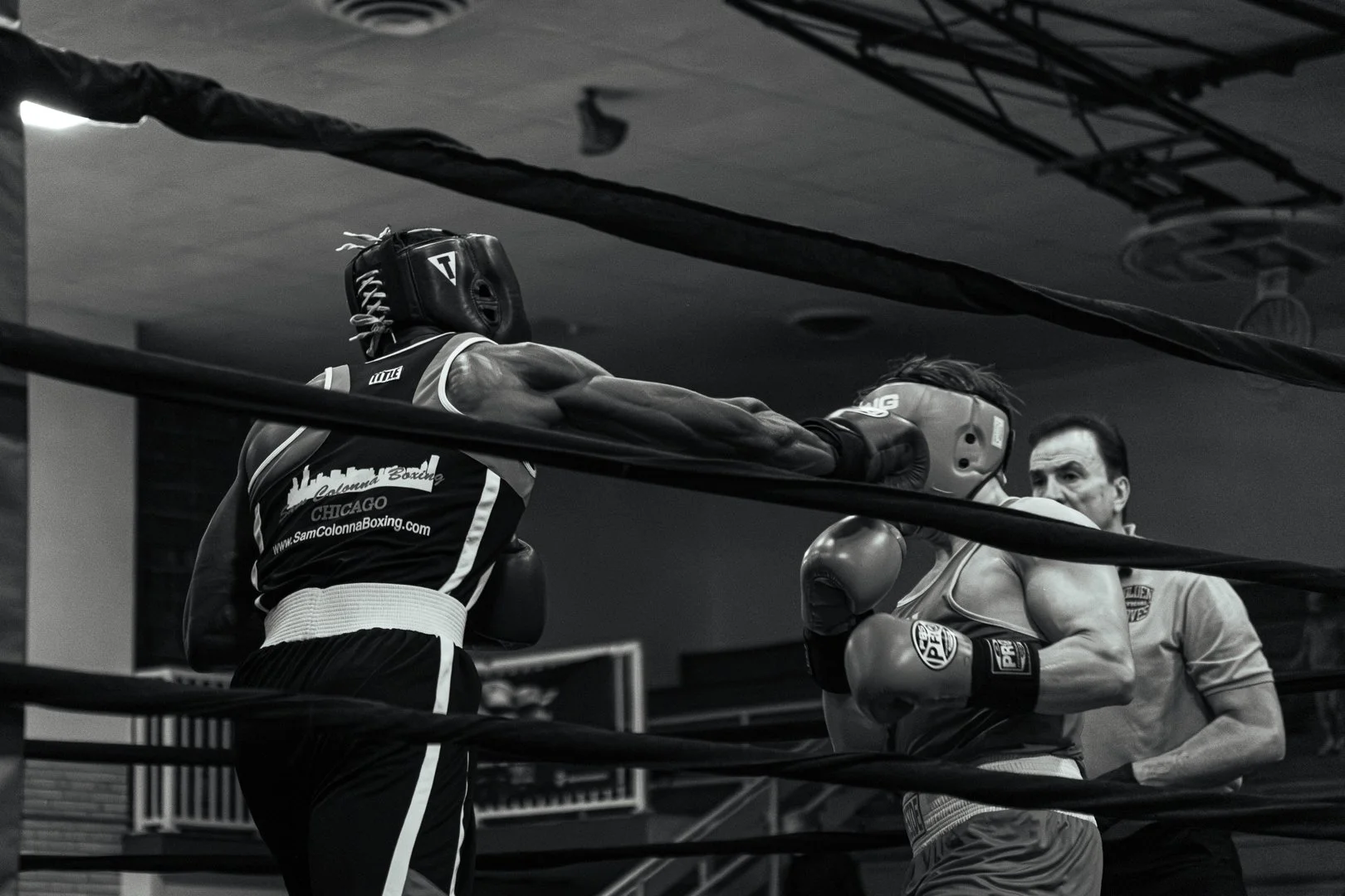 Golden Gloves-54.jpg