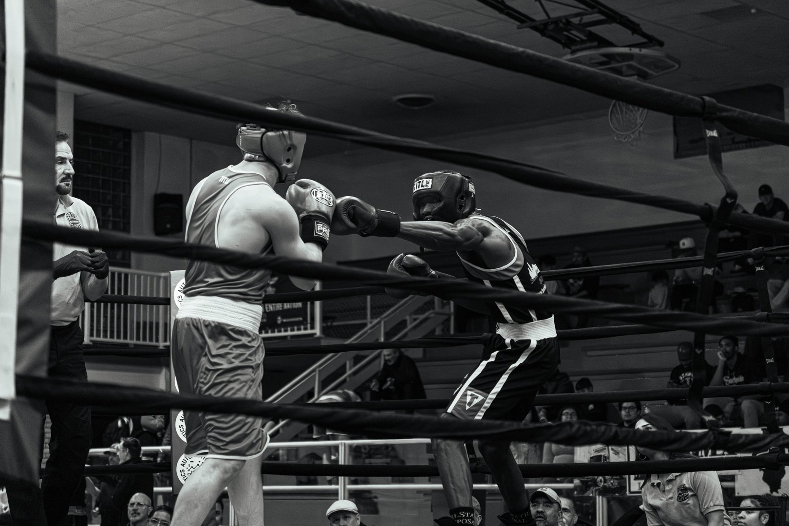 Golden Gloves-51.jpg