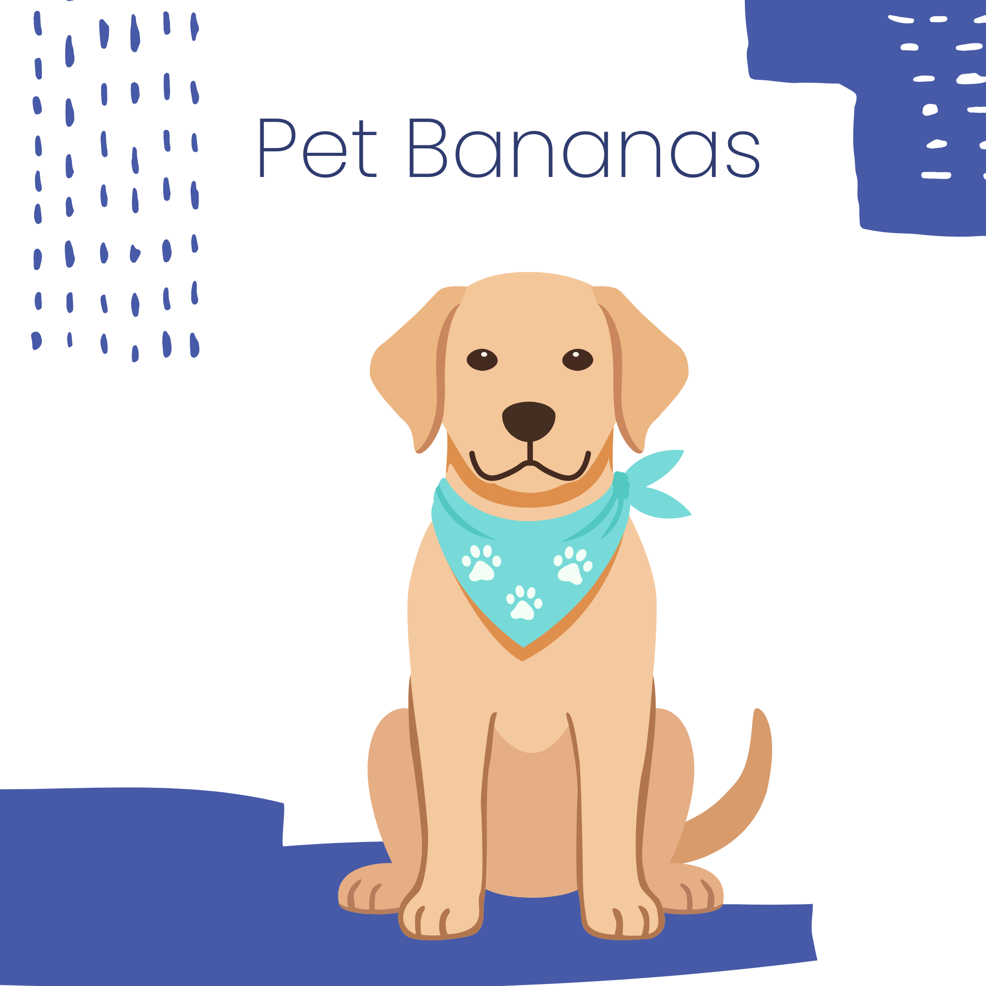 PAQ Listing photos SQUARE (2).png