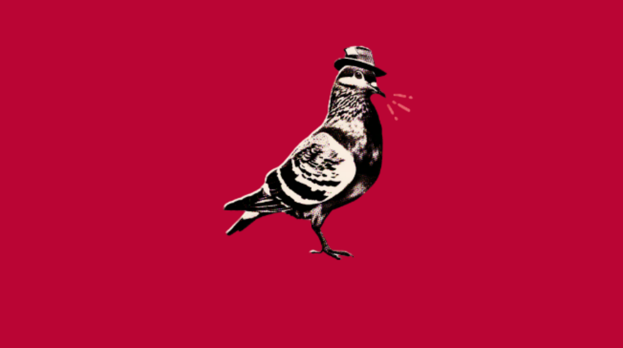 A stylized black and white illustration of a pigeon wearing a hat, standing on a red background.