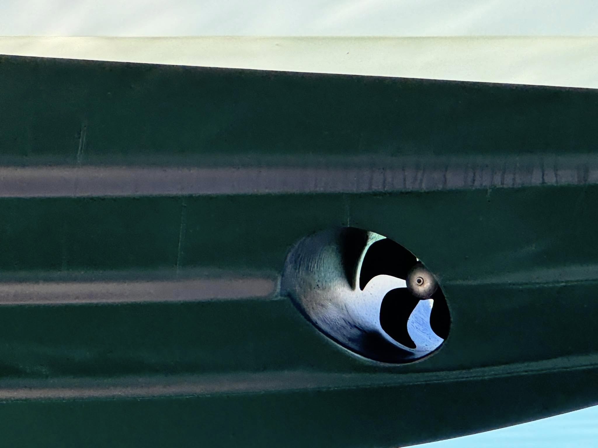 Bow thruster