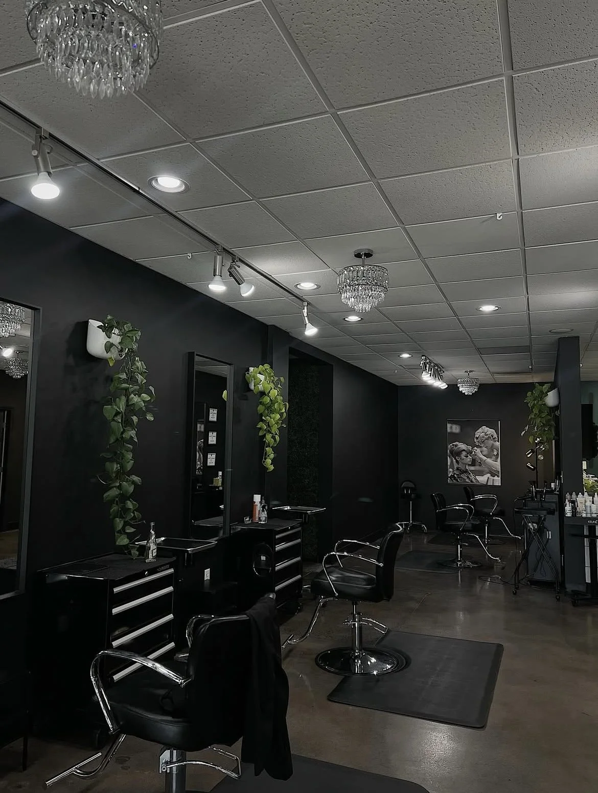 The Social Tee | About — Spruce Hair Salon