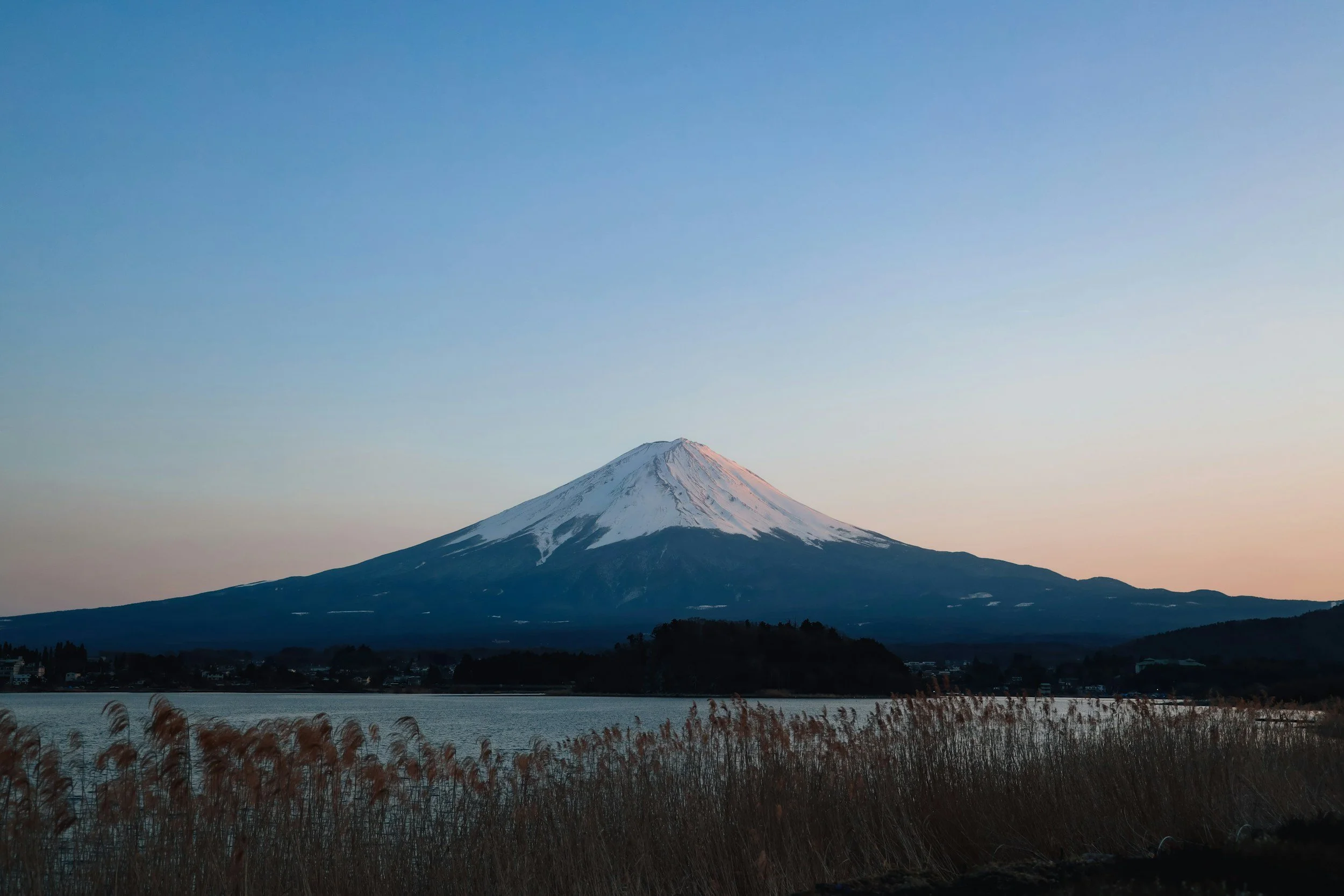 Mount Fuji with snow on top, viewed across a body of water with tall grass in the foreground, during sunset or sunrise.