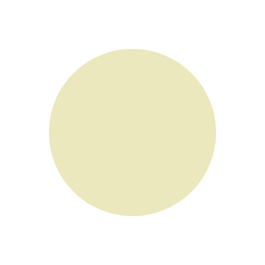 Diagram of a yellow circle within a black background, with labels indicating different parts of a cell such as cell membrane, cytoplasm, and nucleus.