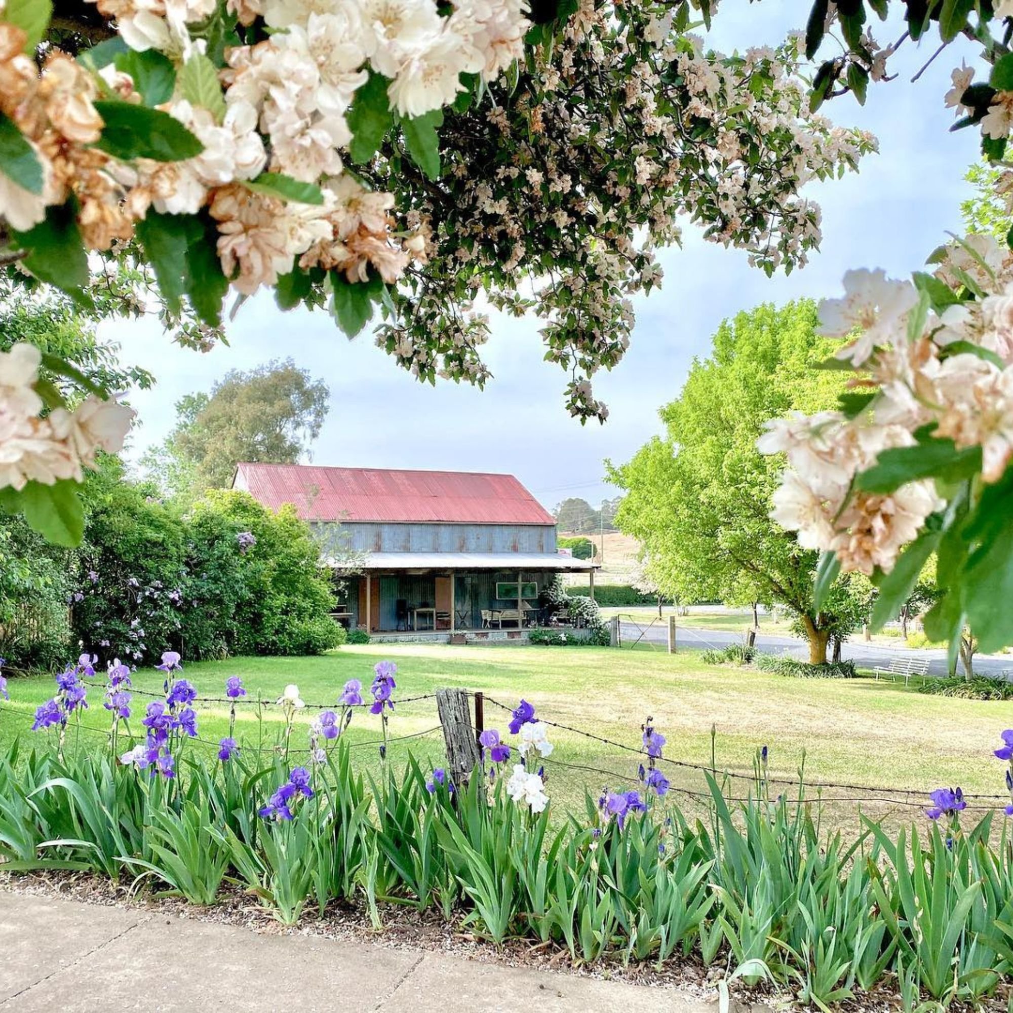 MILLTHORPE VILLAGE SQUARESPACE 2000PX (2).jpg