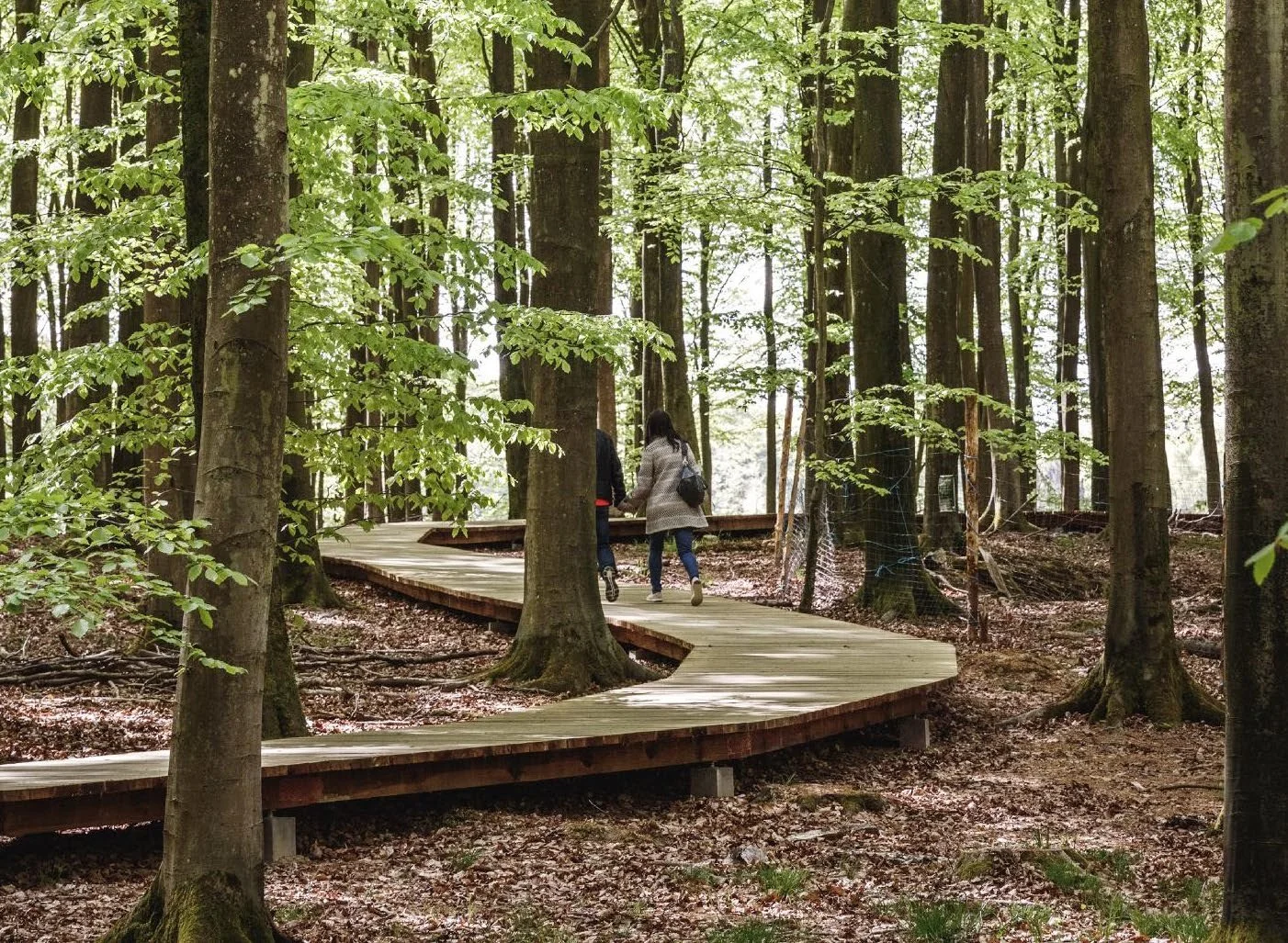 Access to nature
The Precinct will incorporate green spaces
that blend in with the area’s green, leafy
character and create places for plants and
wildlife to thrive. A network of shared open
spaces and pedestrian-friendly areas will make it easy for 