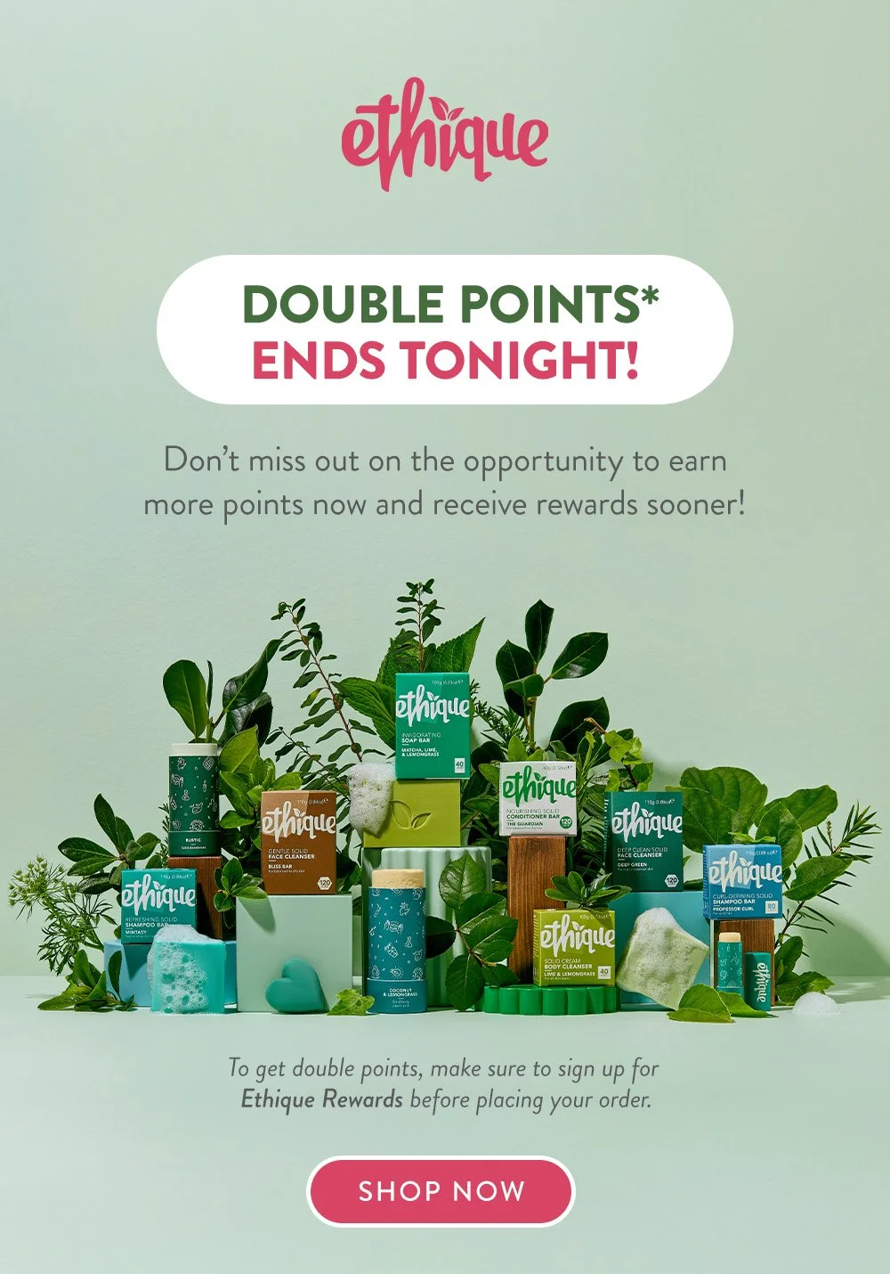 24_April_Double_Points_Last_Day_Loyalty_Revenue-header.jpg