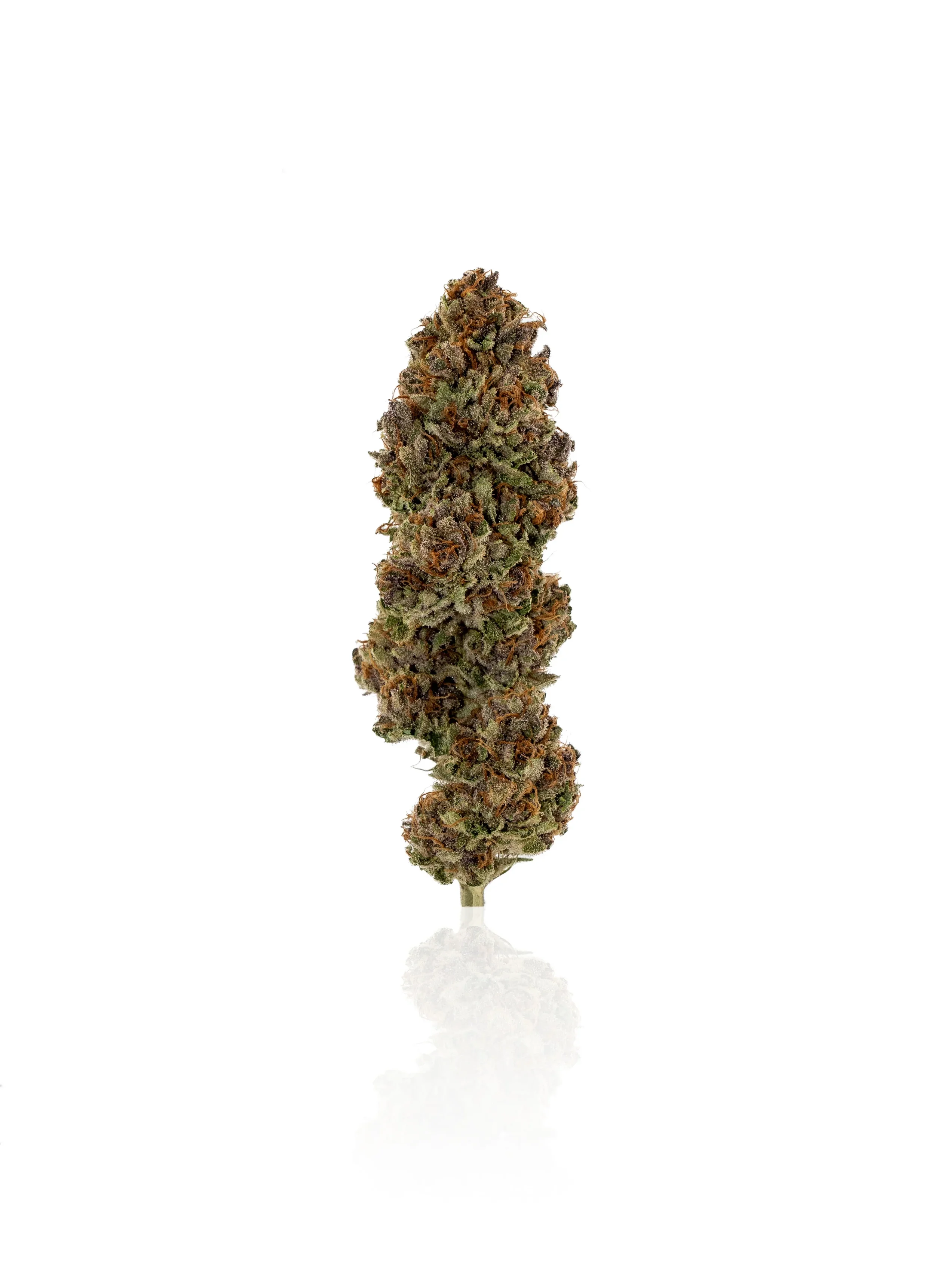 Payton's Strawberries CBD hemp flower bud with frosty trichomes and orange pistils