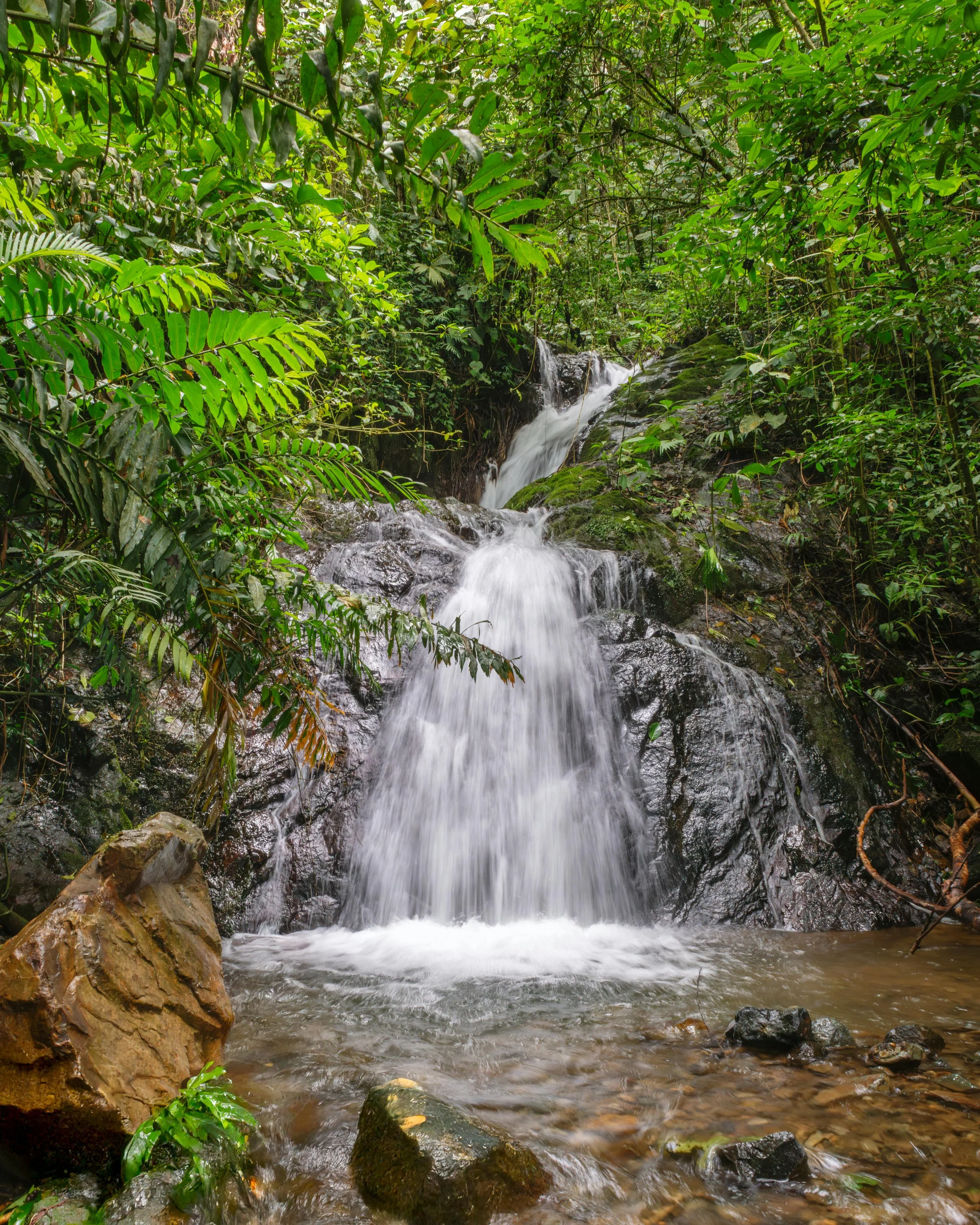 pexels-enrique-hidalgo-1230661389-32943154.jpg (Copy)