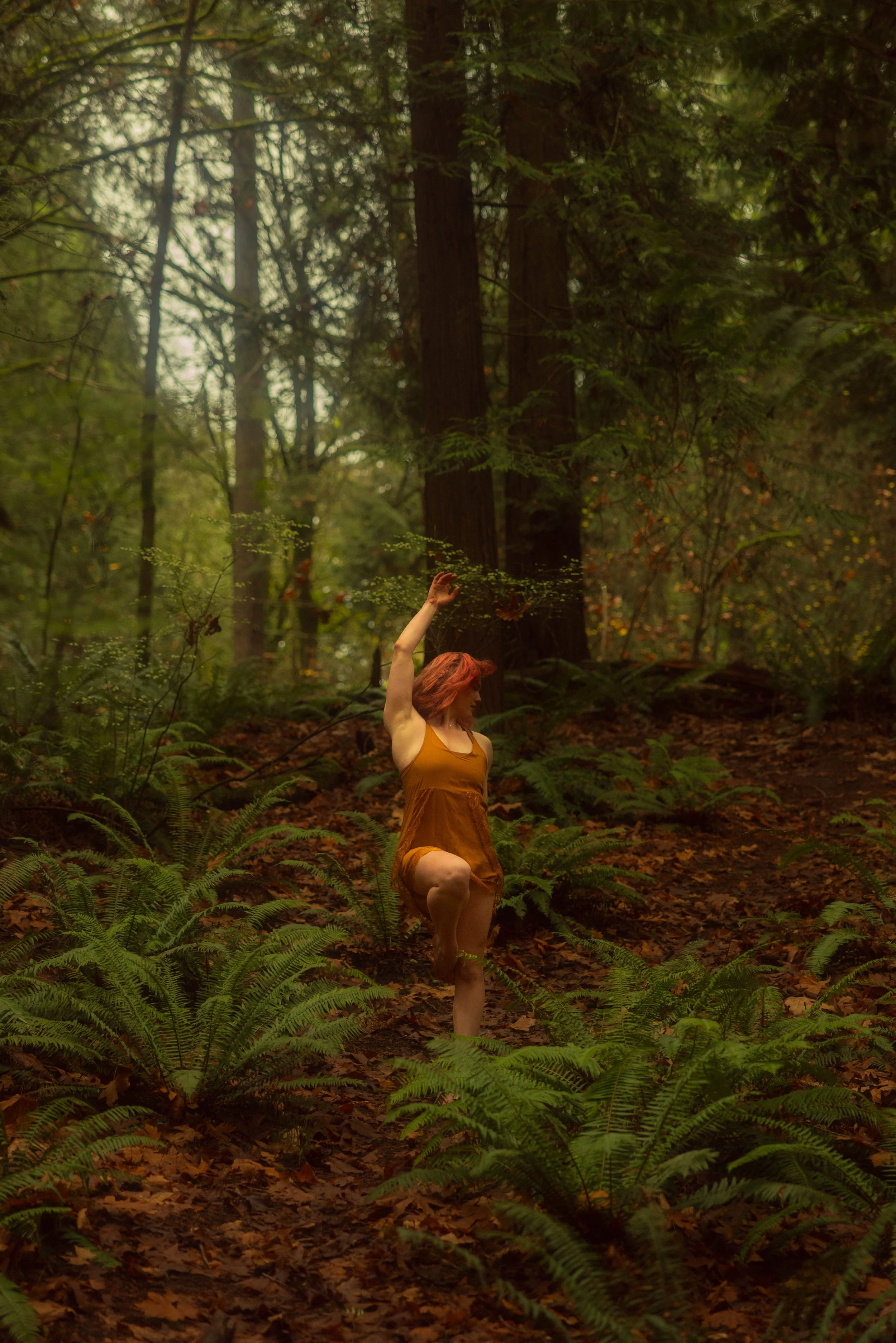 A women in a dark yellow dress dancing through the woods.