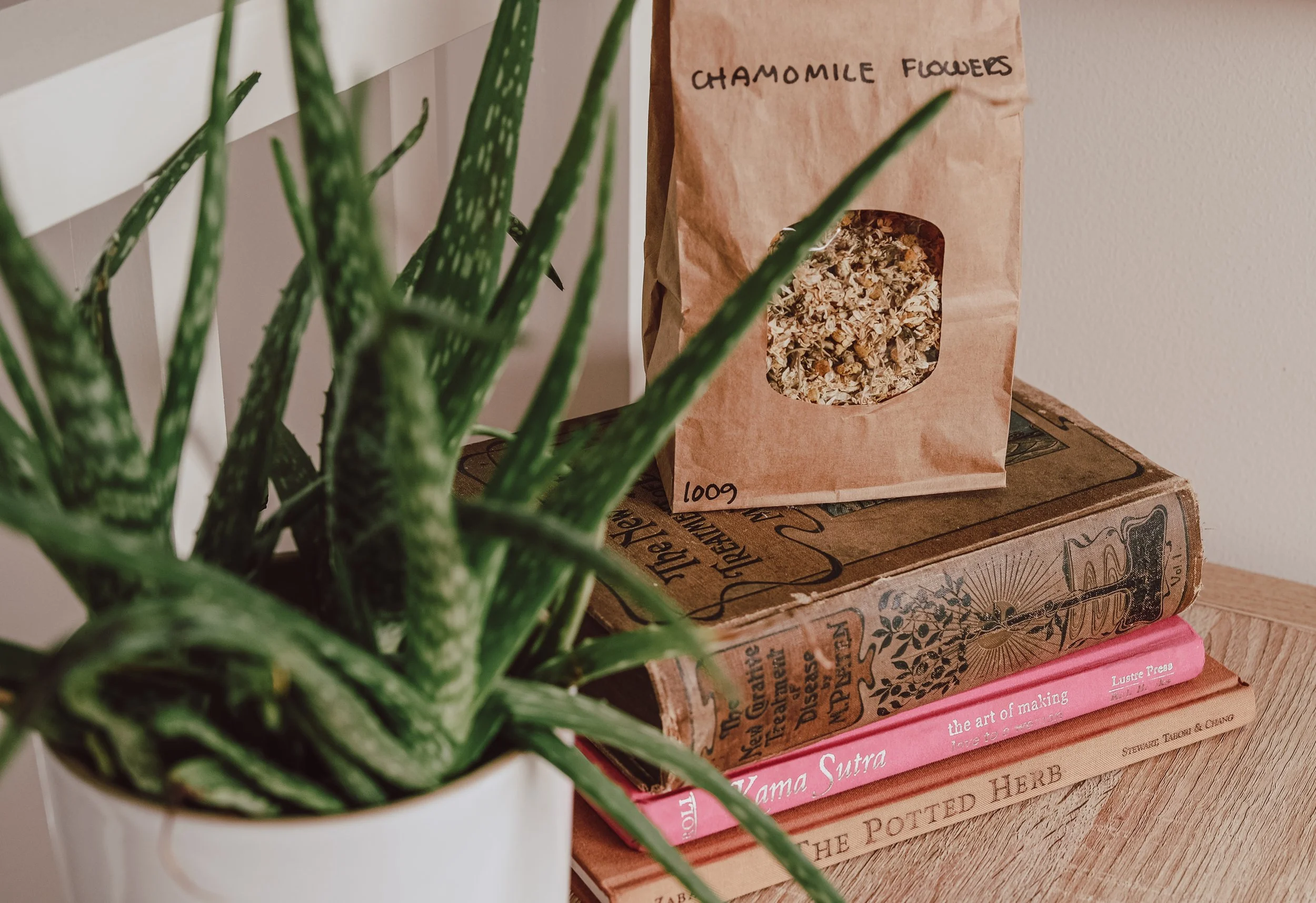 A potted plant with long green striped leaves in the foreground. In the background, there is a brown paper bag labeled 'Chamomile Flowers' with a transparent window showing dried chamomile flowers. The bag is placed on top of a cardboard box and a pink book, which is resting on a wooden surface.