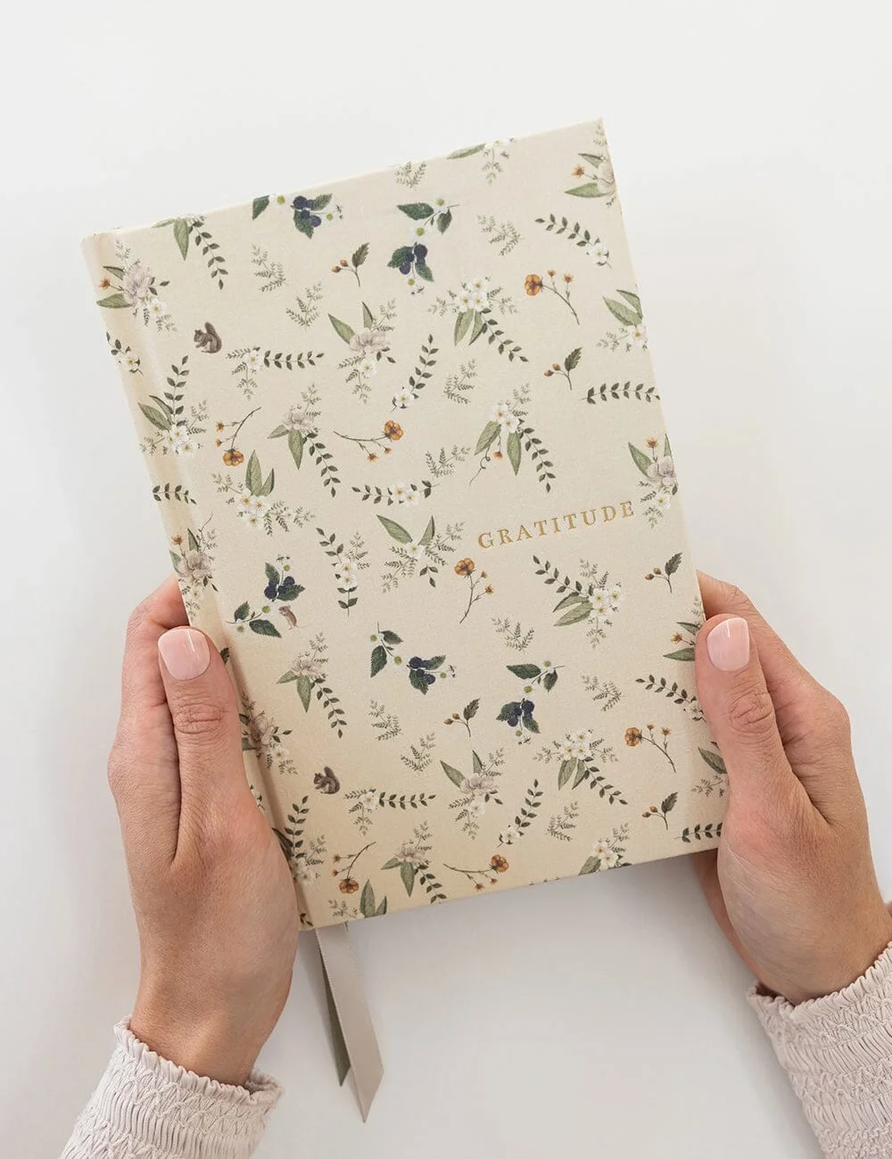 Gratitude Journal - Button Fern2.webp