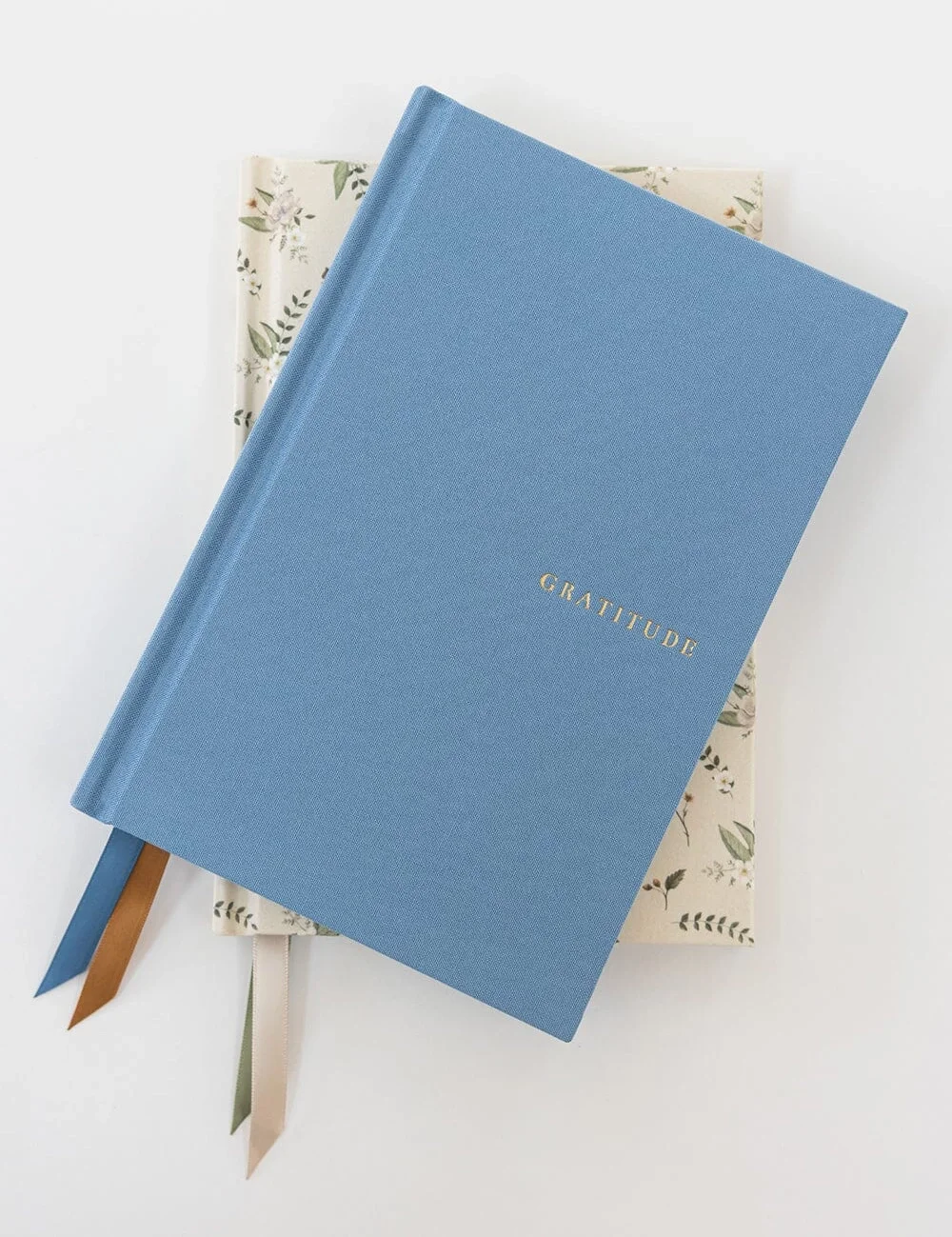 Gratitude Journal - Cove Blue7.webp