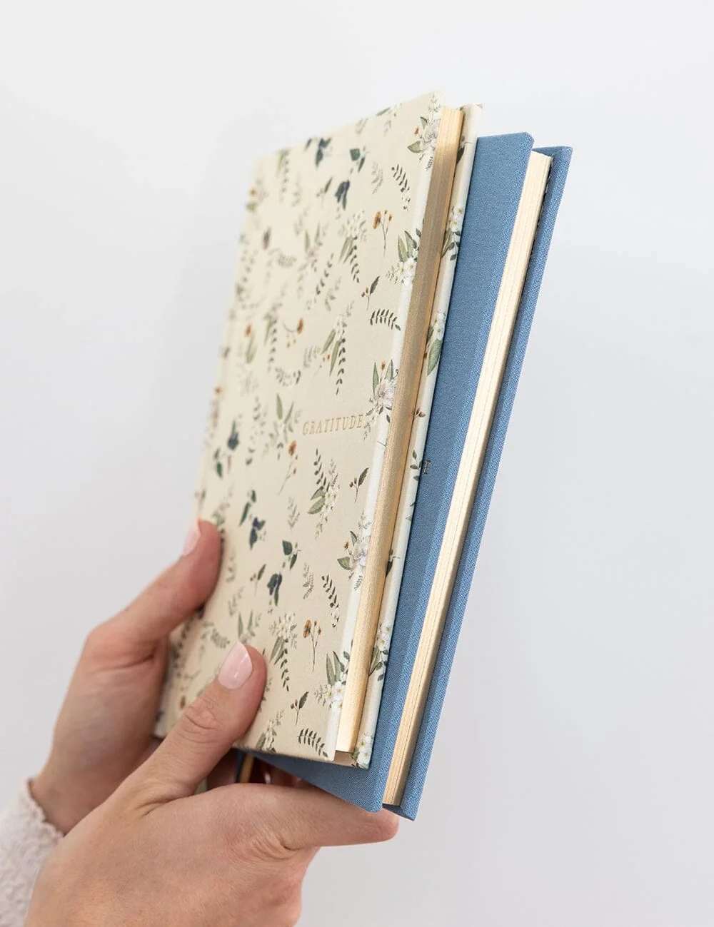 Gratitude Journal - Button Fern6.webp