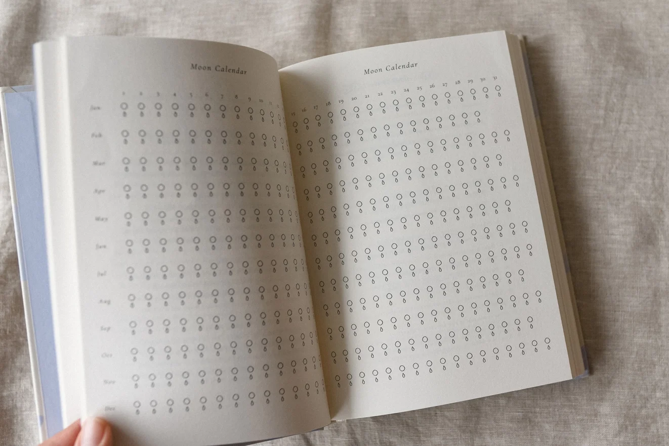 A Year Of Coming Home Journal4.webp
