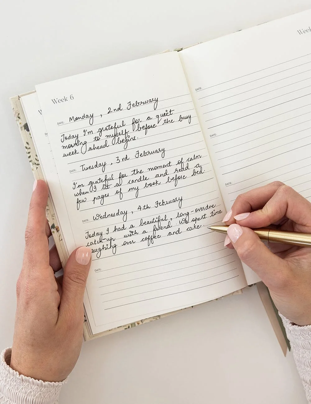 Gratitude Journal - Button Fern8.webp