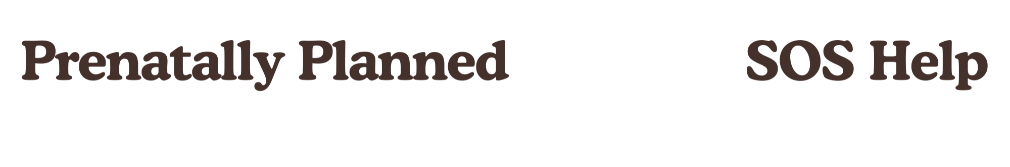Text highlighting the keywords 'Prenatally Planned,' 'SOS Help,' and 'Pregnancy Support' with decorative elements in the background.