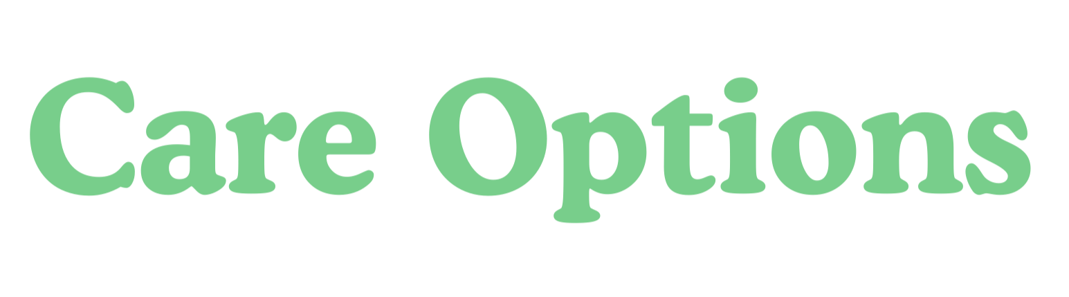 Text reading 'Care Options' with a light green font and shadow effect