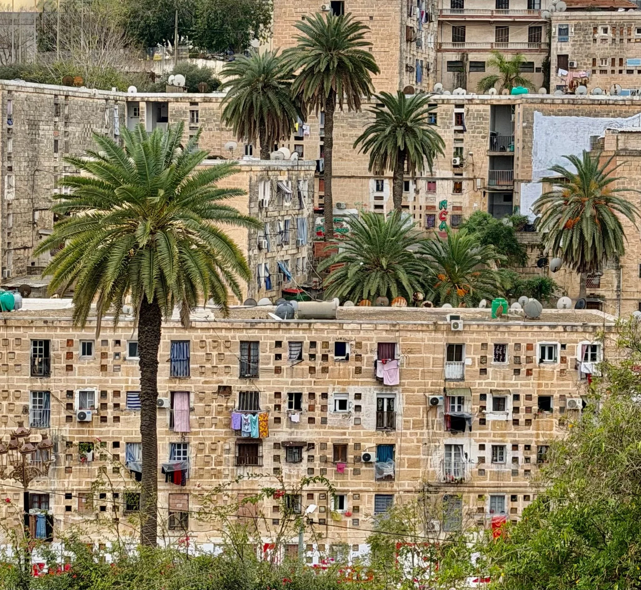 View of an apartment building with multiple windows and balconies, some with laundry hanging. Several tall palm trees are in front of the building. Algeria motorcycle tour. KB Global motorcyle tours. Karakoram Bikers Algeria