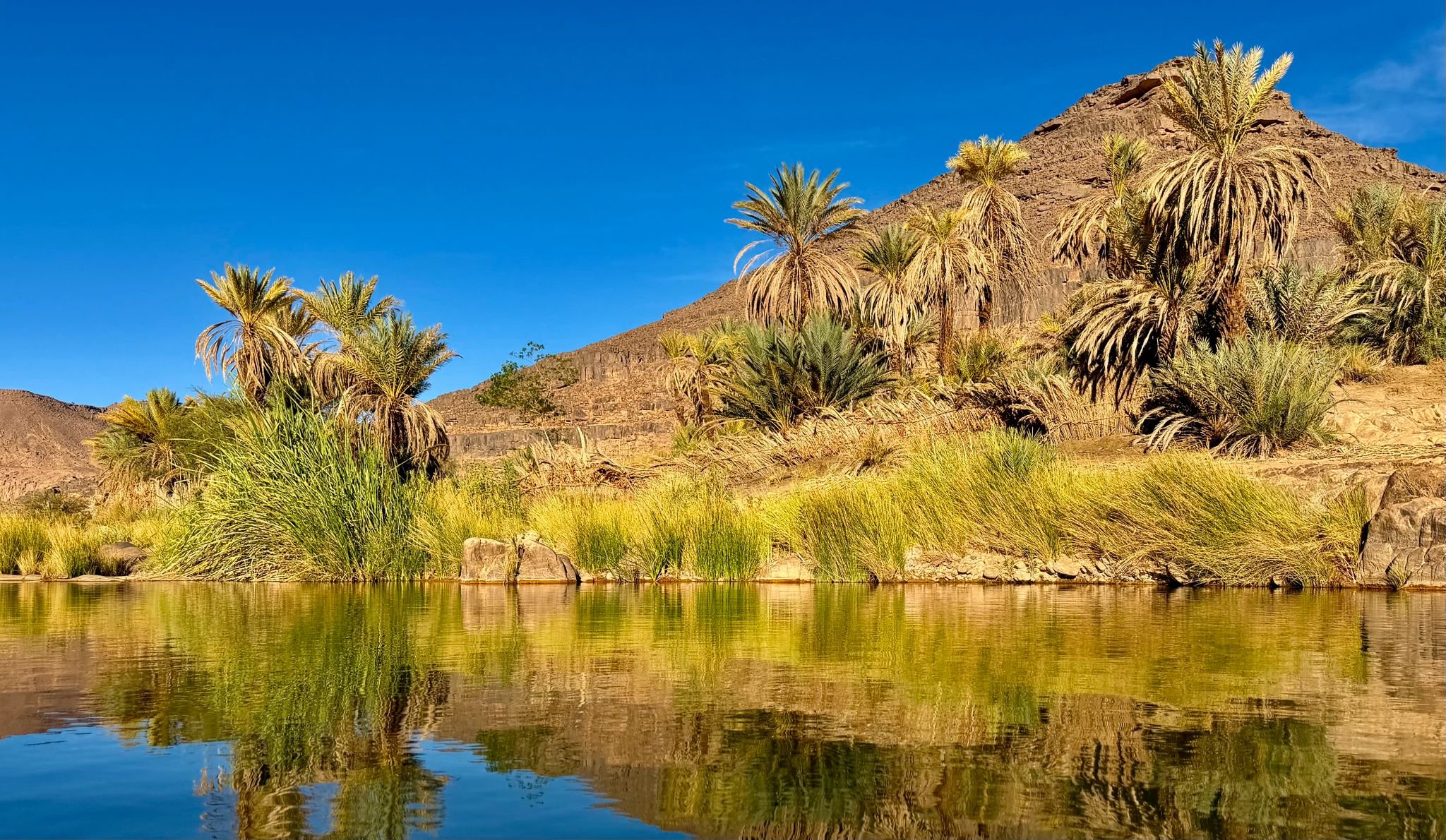 Desert landscape with palm trees surrounding a body of water, a mountain in the background, and a clear blue sky. Algeria motorcycle tour. KB Global motorcyle tours. Karakoram Bikers Algeria