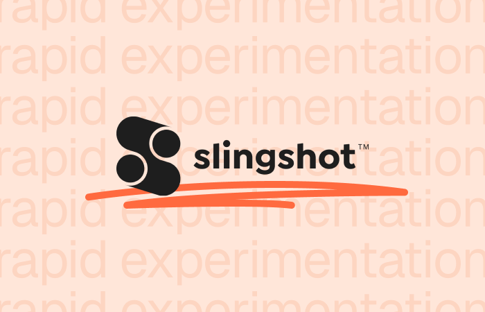 Slingshot Accelerator: embedding rapid experimentation in corporate startup accelerators