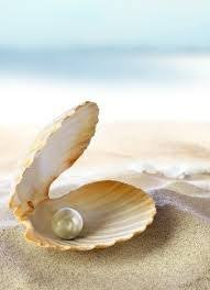 What Is My Purpose Now? The Pearl of Great Price