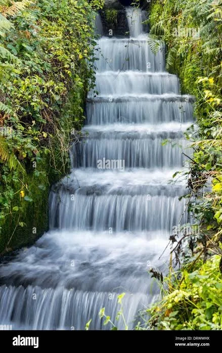 Stagnant Water, Stagnant Love: Keep It Flowing