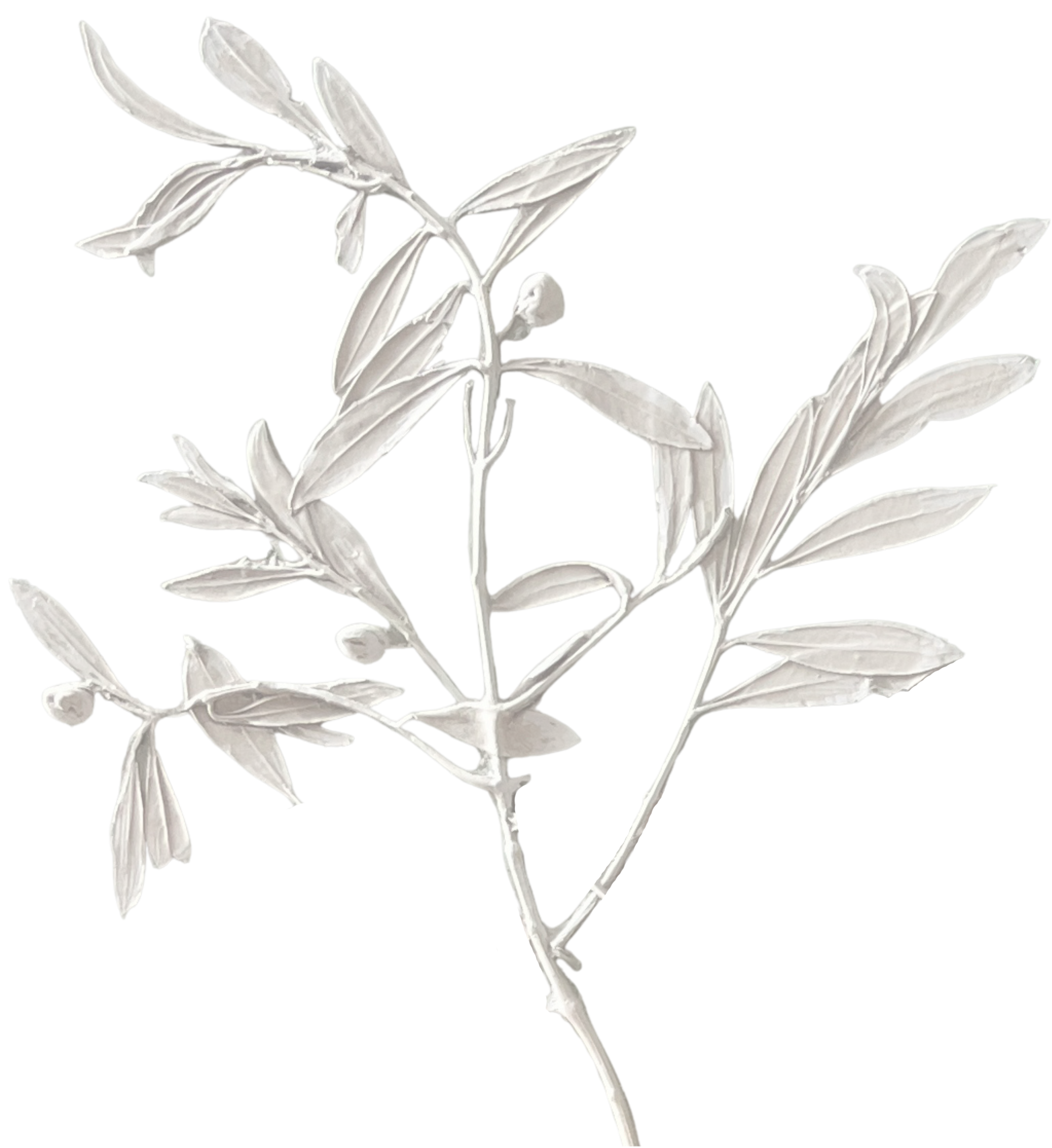 Detail of a botanical cast by Katy Eccles of Imprint Casts