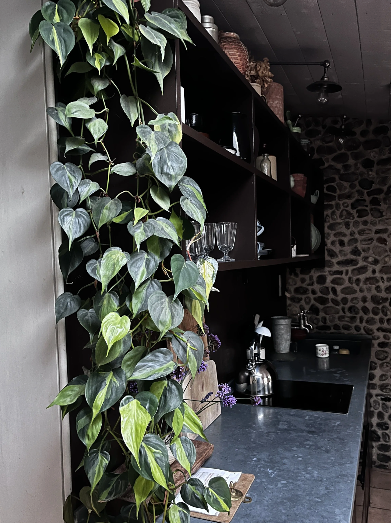 the-botanical-grand-tour-spinks-nest-5.png