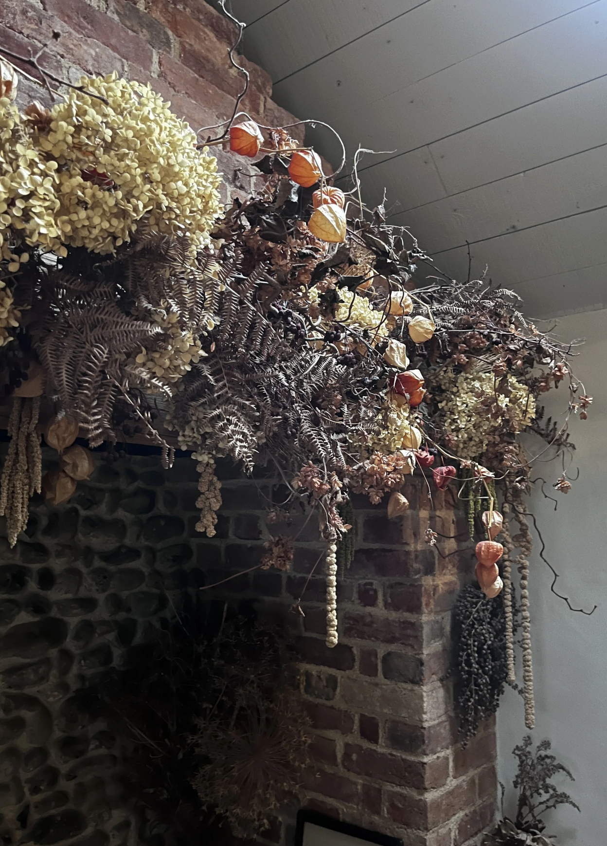 the-botanical-grand-tour-spinks-nest-14.png