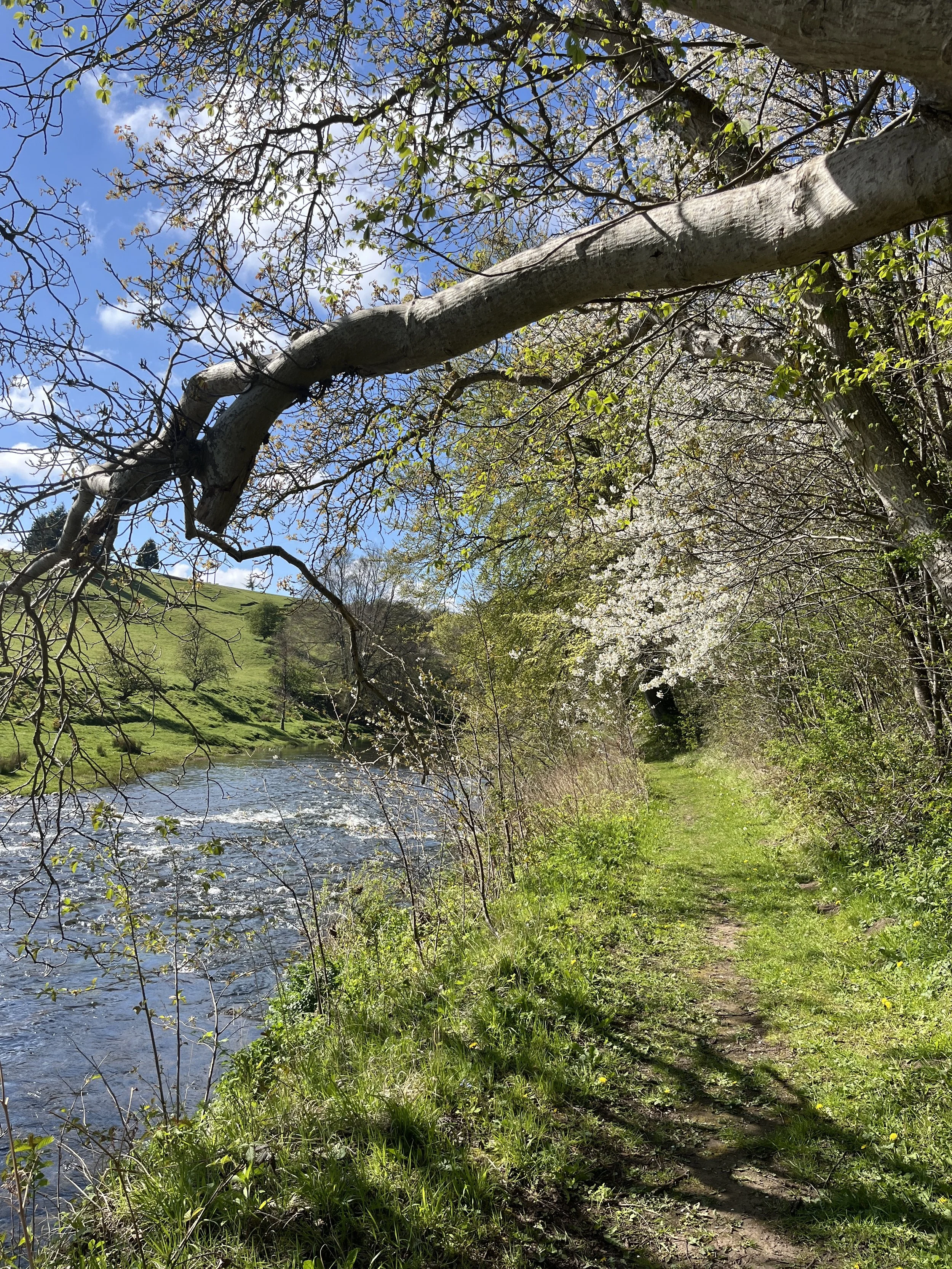 IMG_8136.jpeg
